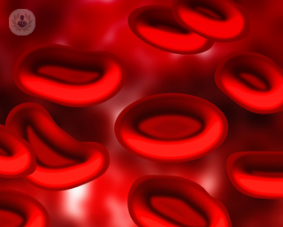 blood disorder treatments haematology