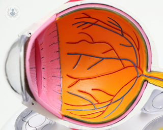 A diagram of the eyes's structures