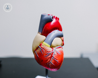 A 3D model of the heart