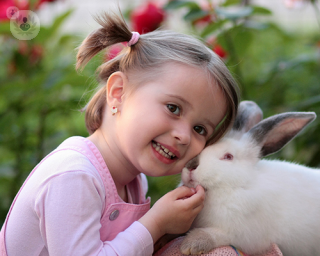A child holding a rabbit 