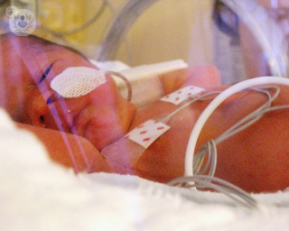A newborn baby. 