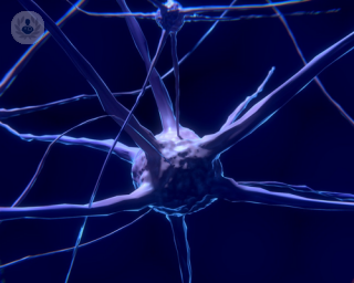 Nerve cells can be damaged by a stroke