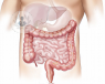 Diagram of the digestive system