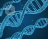 Digital image of DNA
