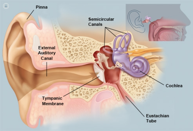 Ear-related dizziness