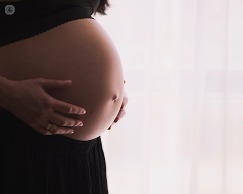 Pregnancy is a time where perinatal mental health support could be required.