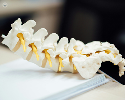 A model of the spine, which can be operated on with minimally invasive spinal surgery.